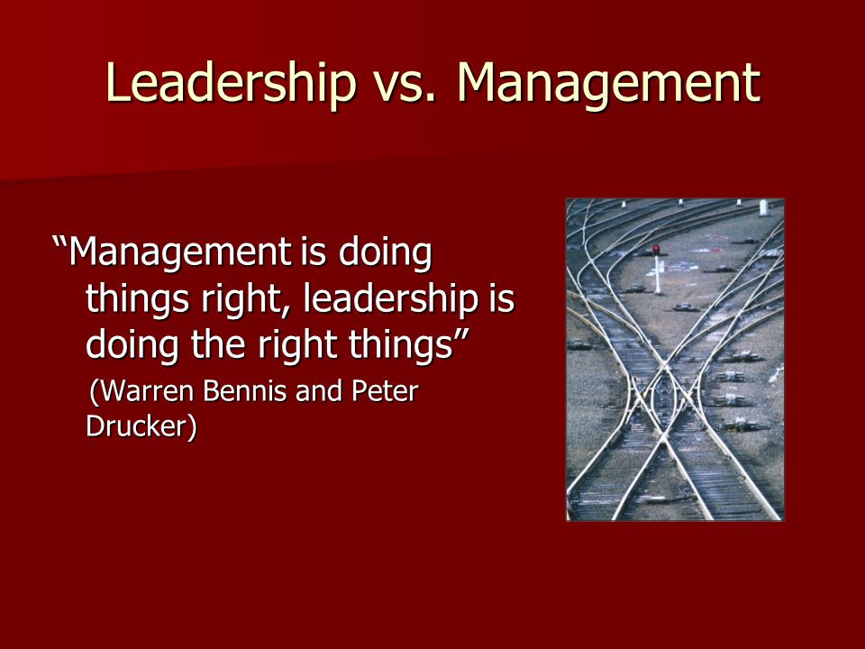 Essay leadership vs management